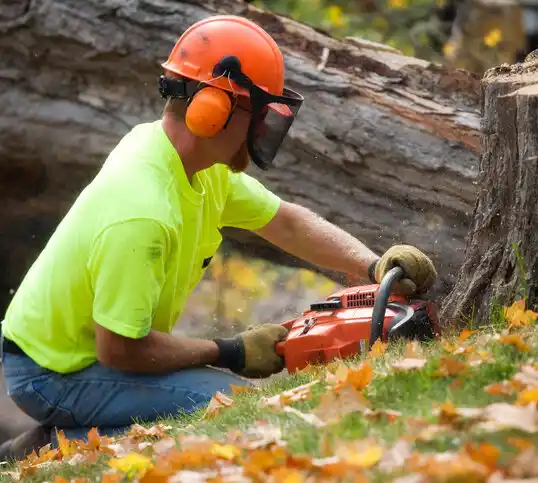 tree services Marlboro Meadows